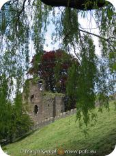 12366 Abergavenny castle through willow tree.jpg