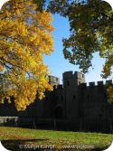 19848 Autumn Trees Cardiff Castle.jpg
