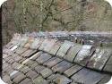 SX13449 Curved roof at Castle Coch.jpg