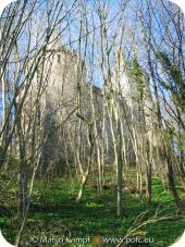 16894 Castle Coch through the trees.jpg