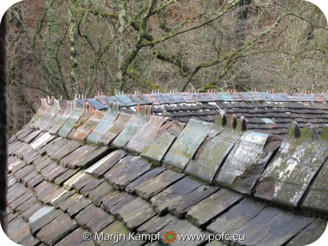 SX13449 Curved roof at Castle Coch.jpg