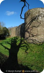 16130-16133 White Castle Shadow of tree on castle wall.jpg