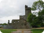 22122 Fethard Castle.jpg