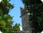 27441 Cargoile at Waterford Castle through leaves.jpg