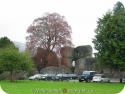 7905 Abergavenny Castle.jpg