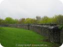 7916 Tree tops over castle wall.jpg