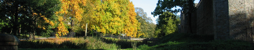 19854-Autumn-Trees-Cardiff-Castle.jpg