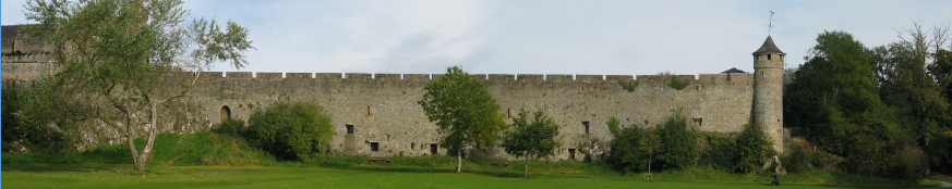 Cahir-Castle.png