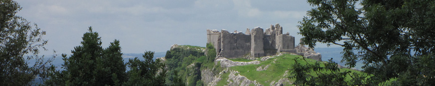 SX16176-Carreg-Cennen-Castle-on-top-of-distant-cliffs-seen-through-trees.jpg